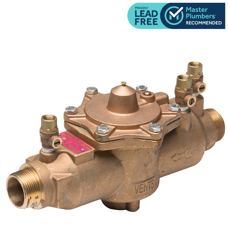 009 Brass with 2 Ball Valves and Inline Strainer - standard & lead free