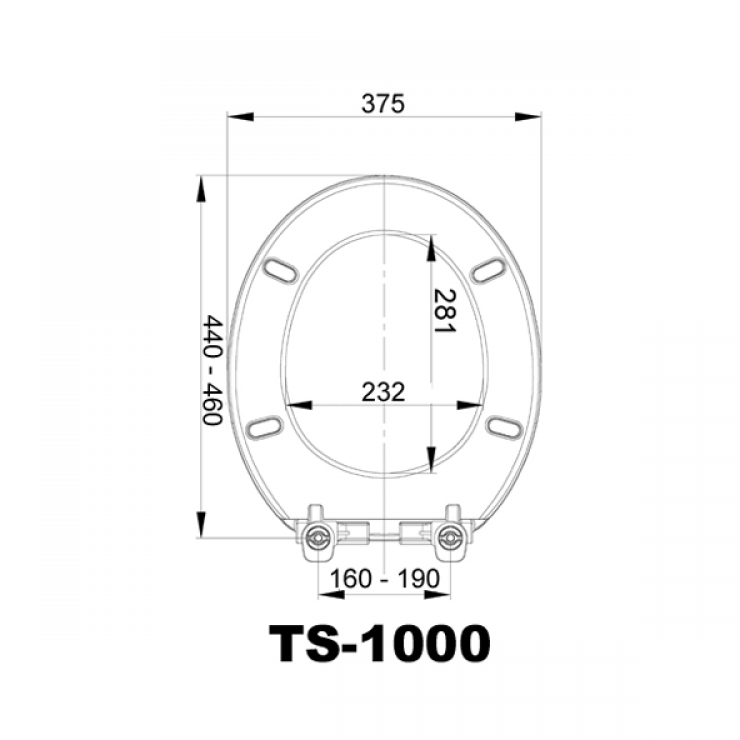 ts-100 diagram