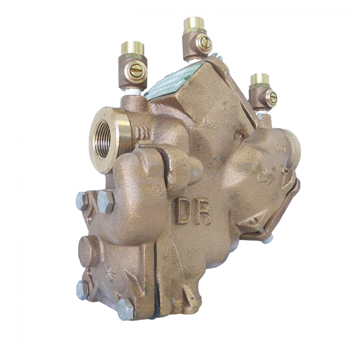 909 Bronze with 2 Ball Valves and Inline Strainer