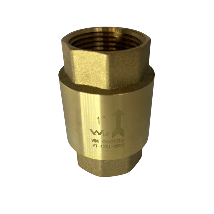 Brass 1 Spring Check Valve 25mm LF