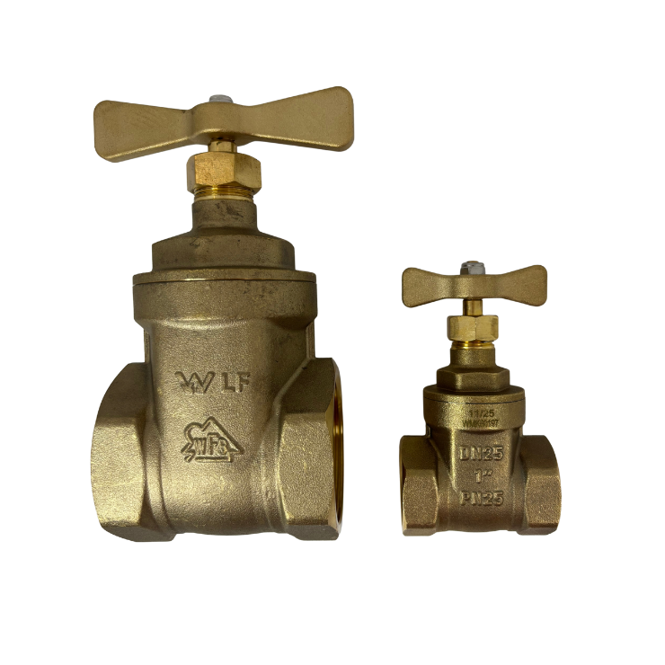 Gate Valve PN25 50 & 25ml