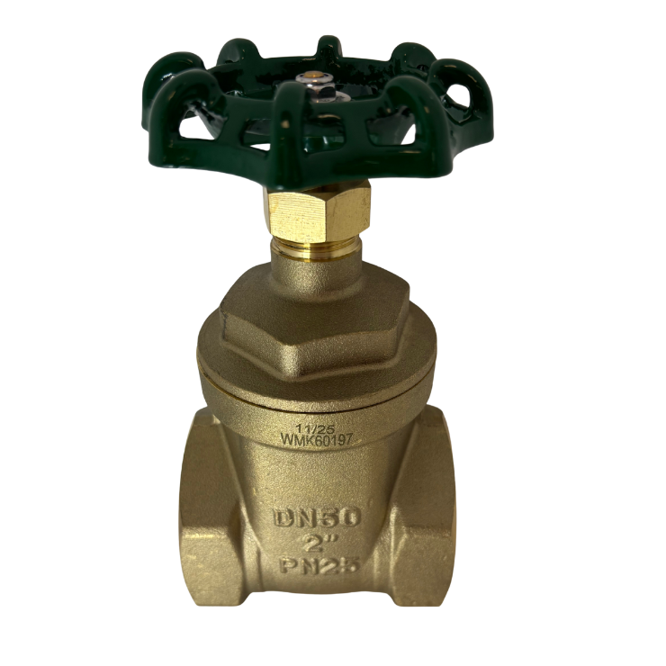 Gate Valve PN25 MW 50 ml